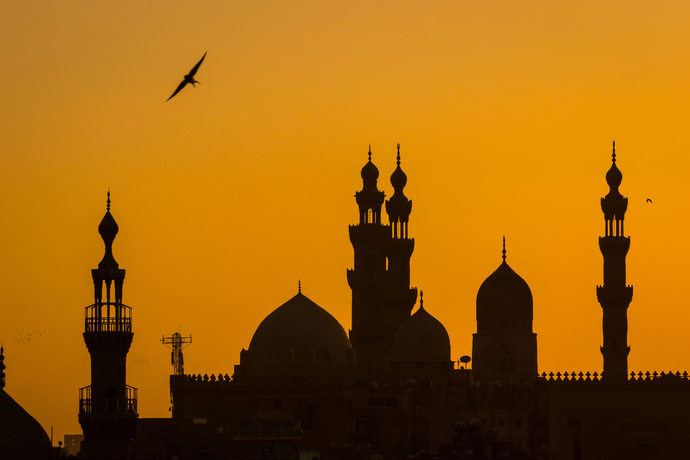 Día 10 · El Cairo islámico al anochecer