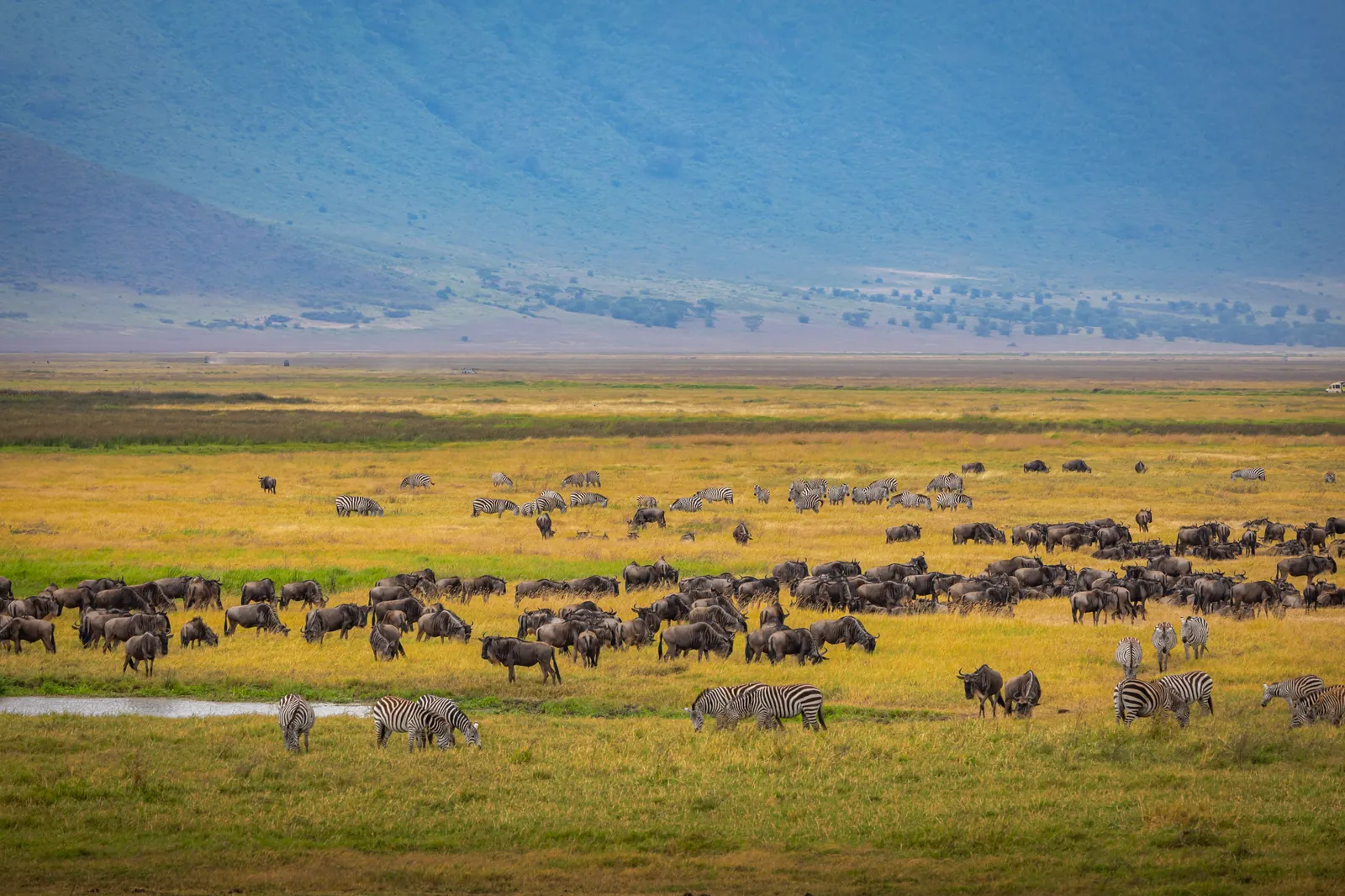 Día 9 · Ngorongoro