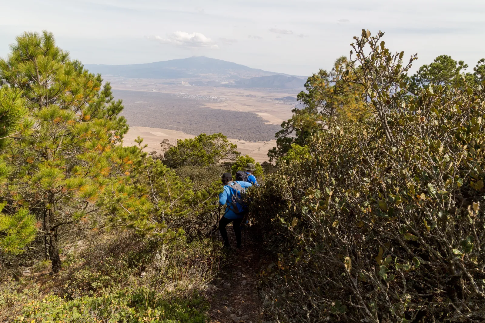 Día 7 · Horombo → Marangu → Moshi