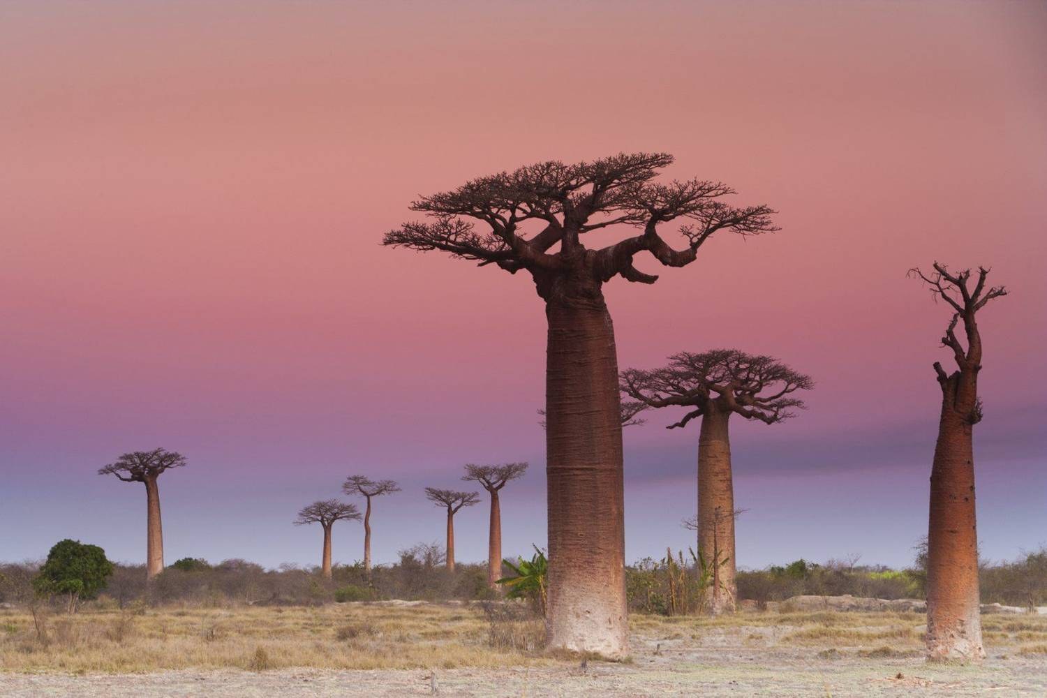 Nosy Iranja, en el norte de Madagascar