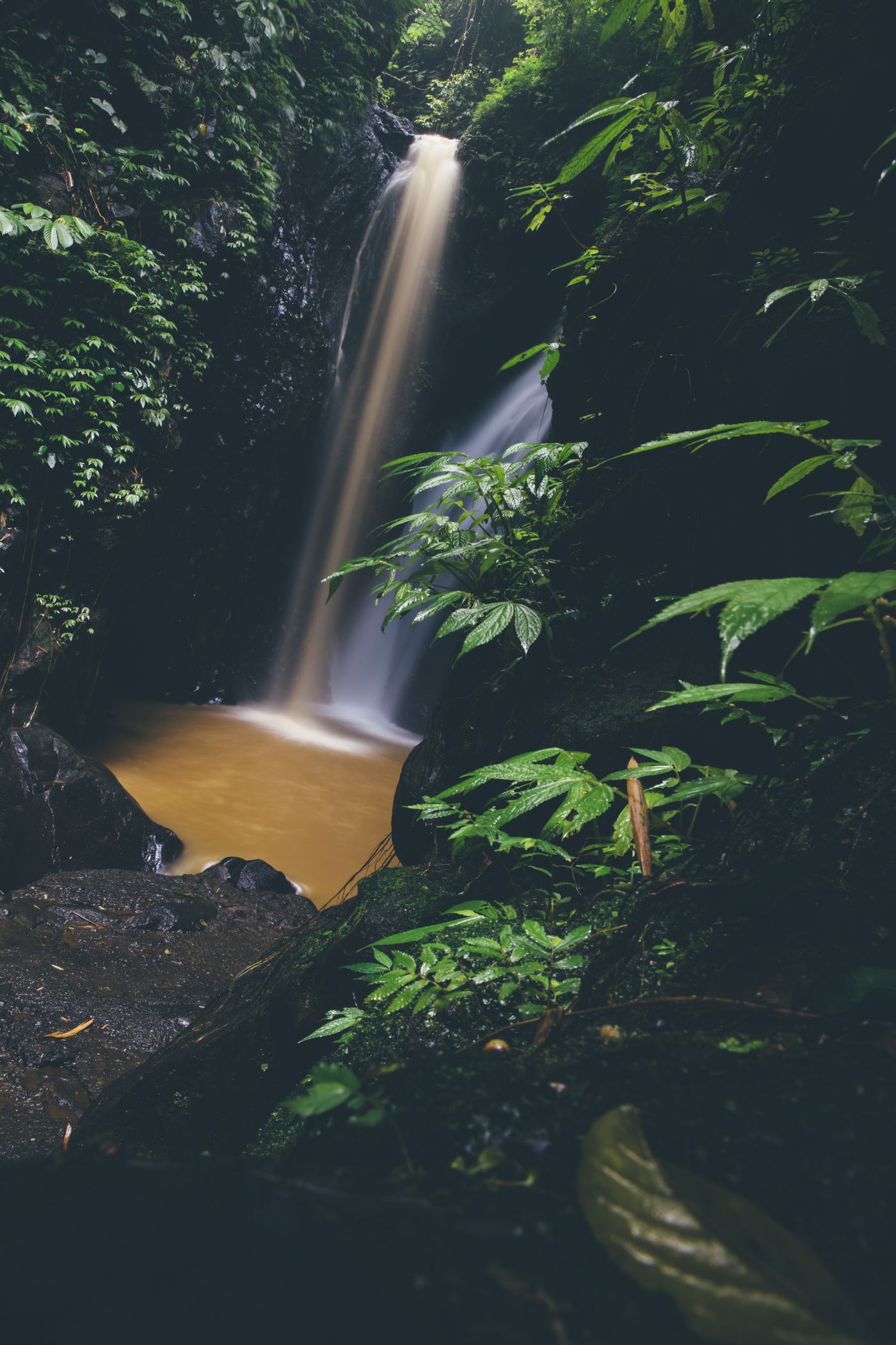 Día 5 · Parque Nacional Montaña de Ámbar