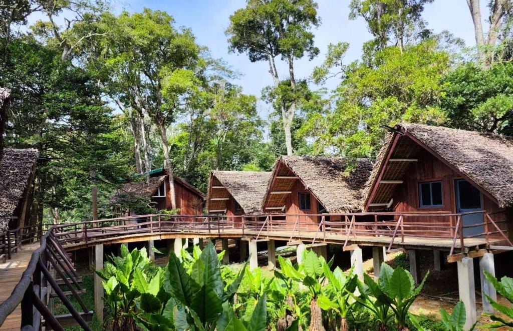 Longoza Ecolodge