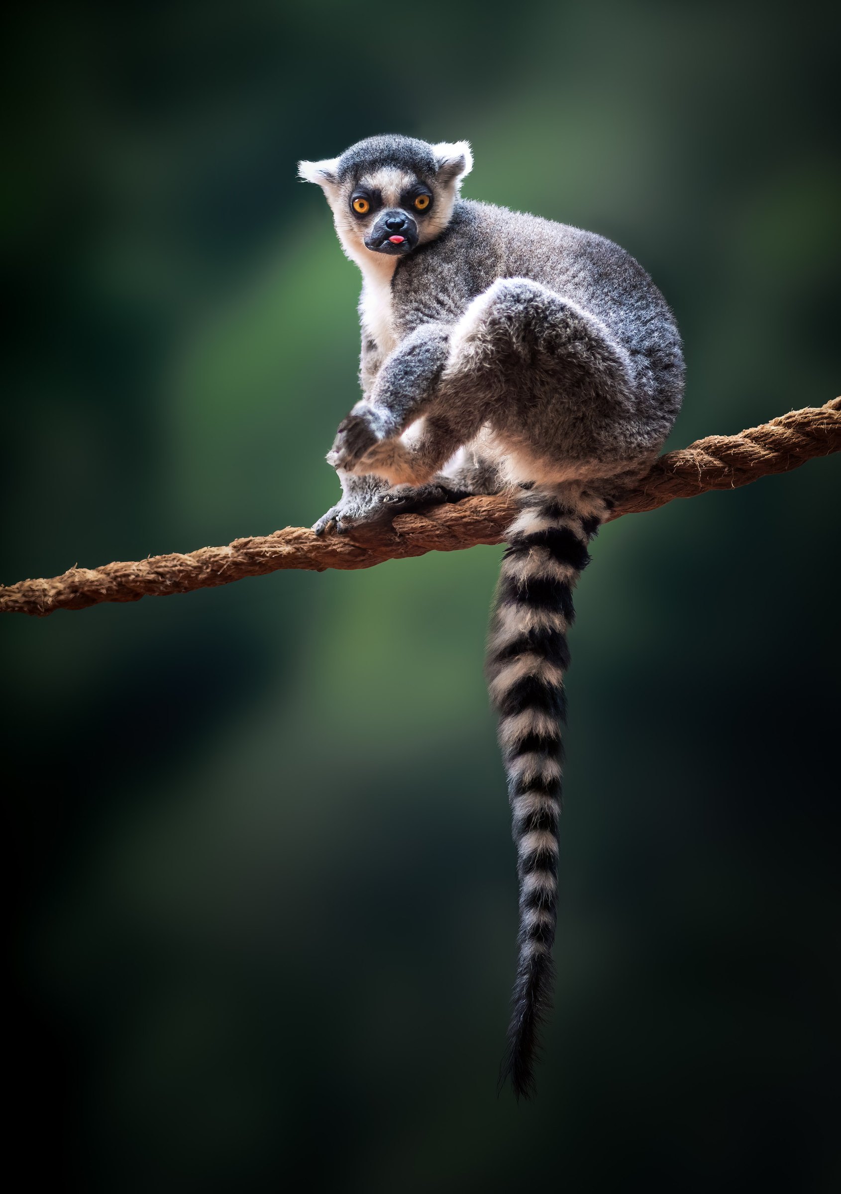 Antananarivo · Andasibe