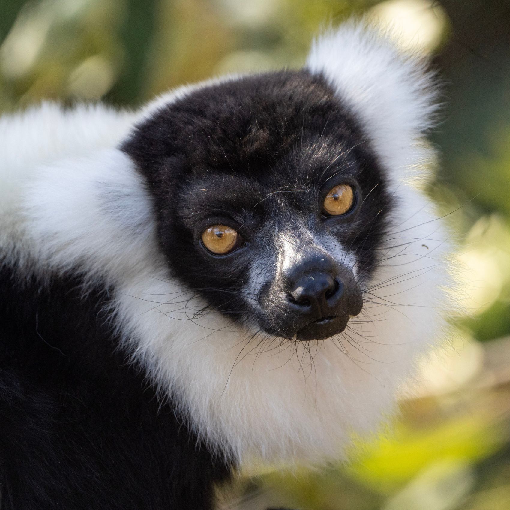Madagascar