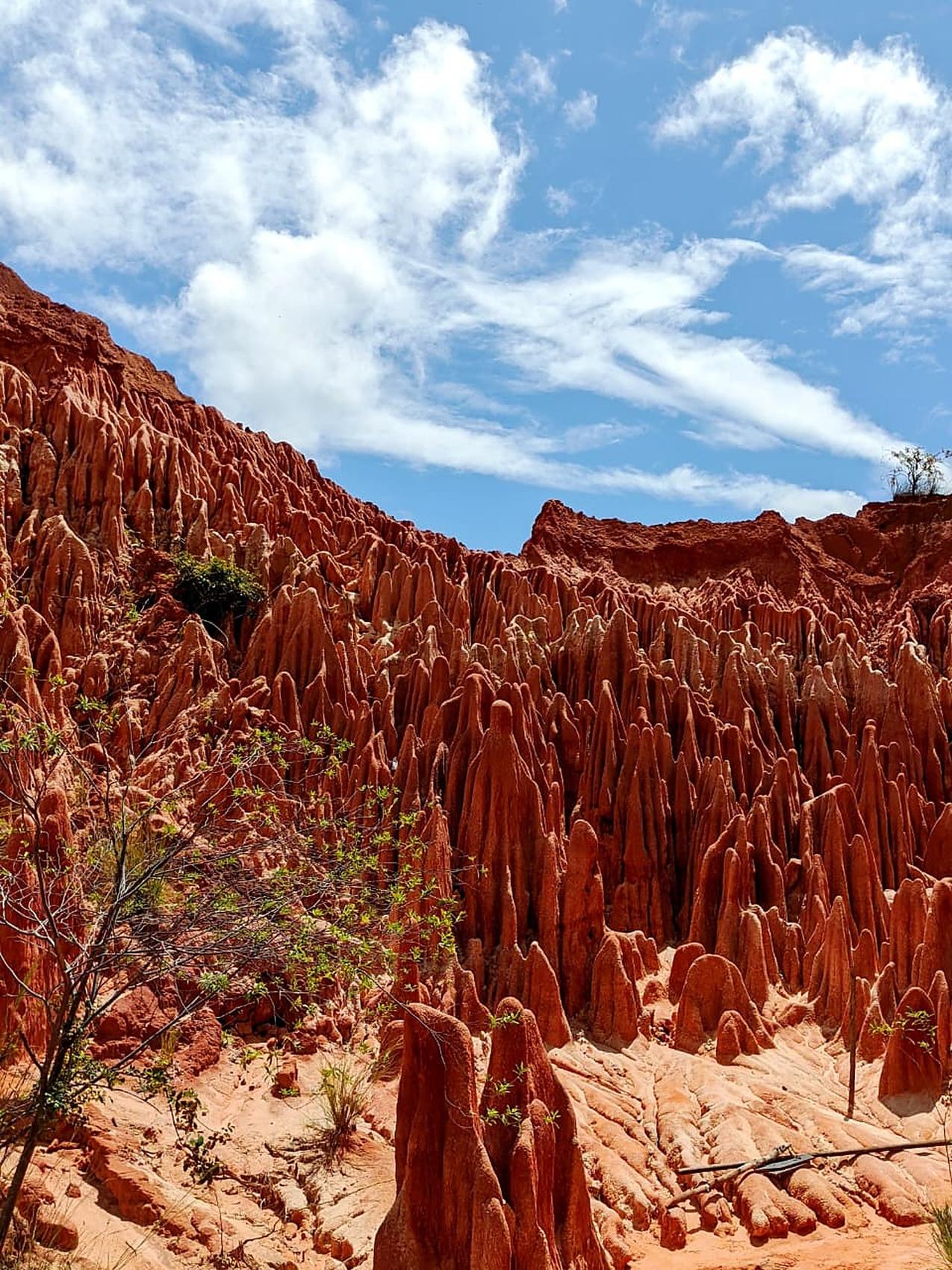 Madagascar