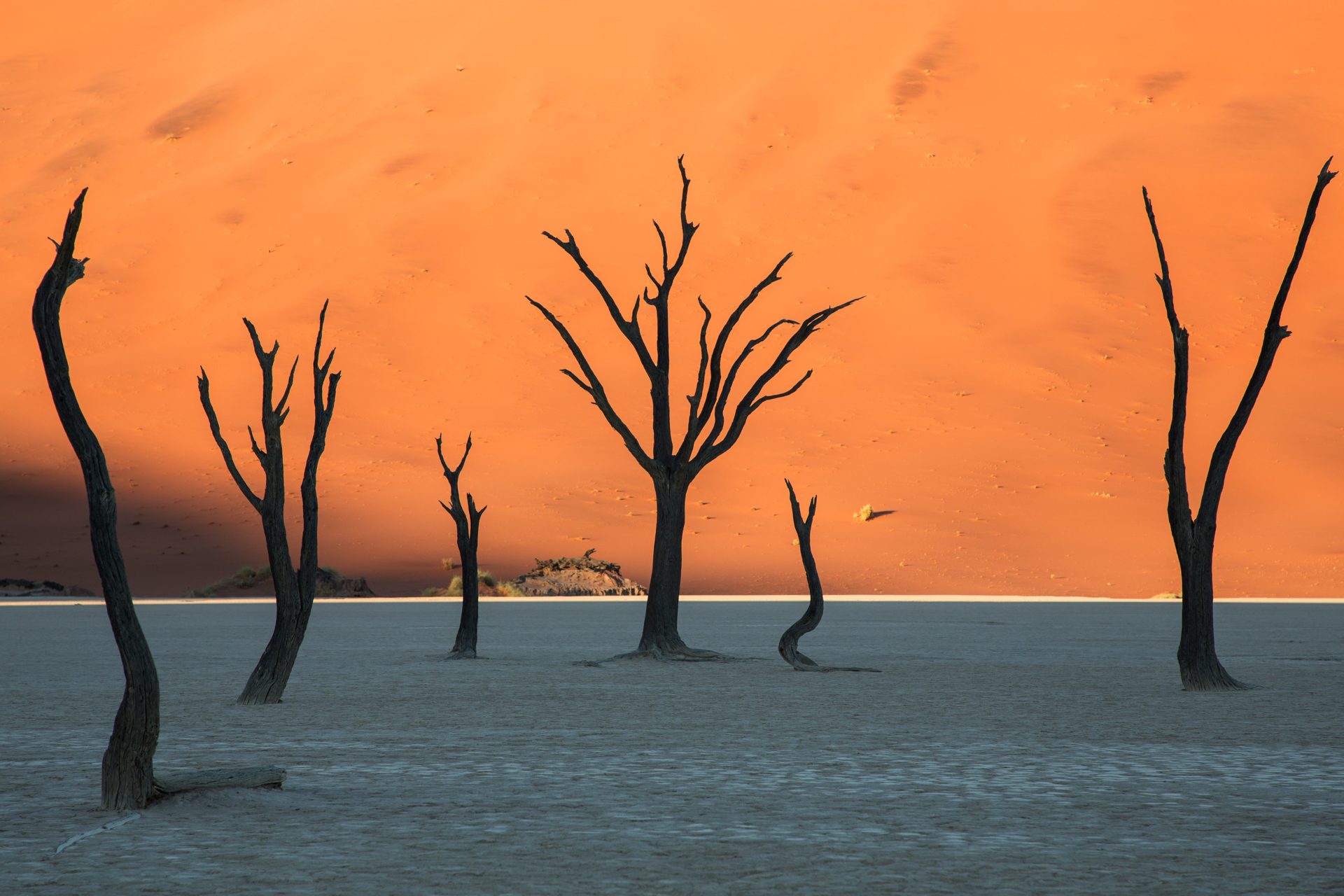 Árboles calcinados de Deadvlei frente a la duna roja, Namibia