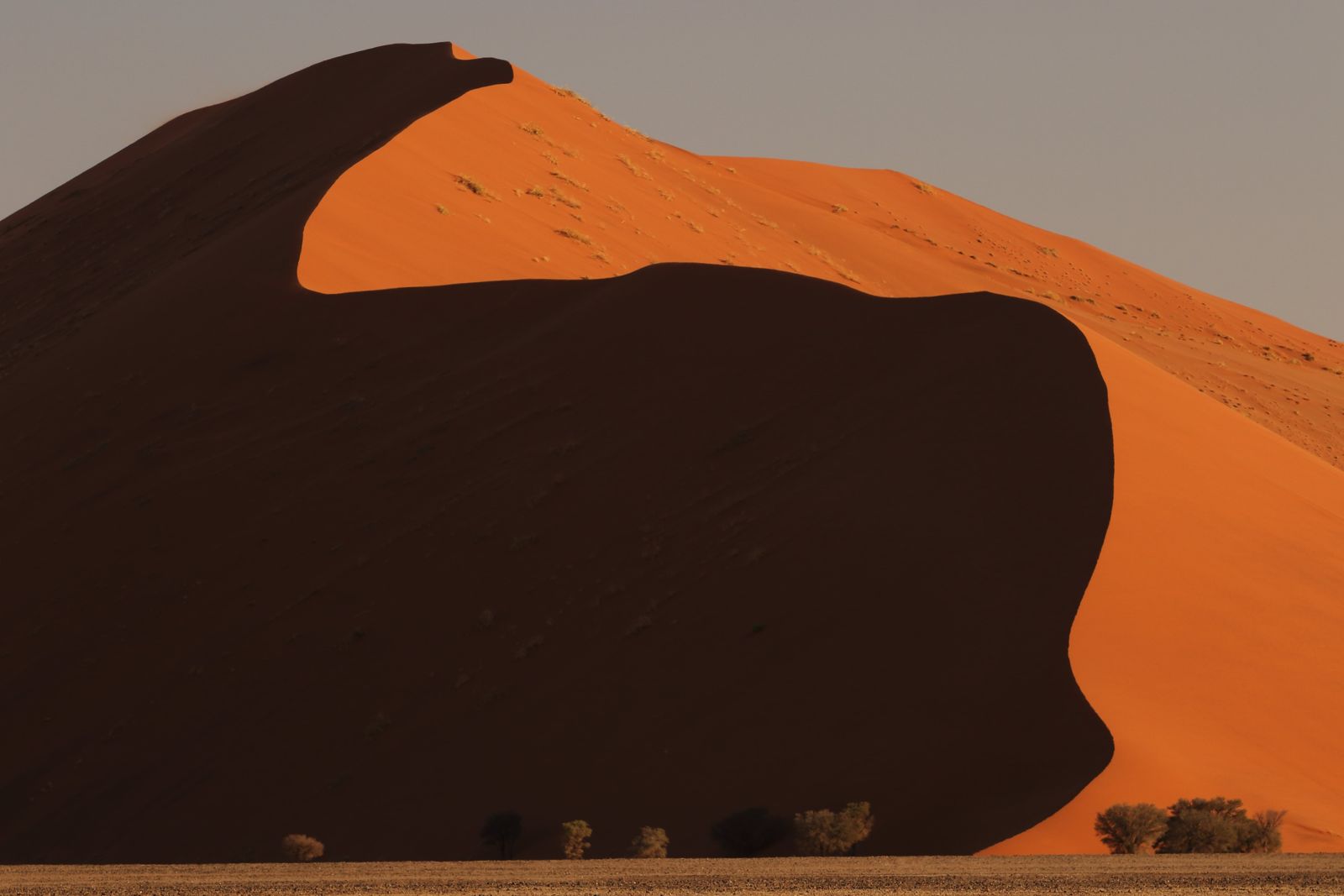 Duna del desierto del Namib al amanecer