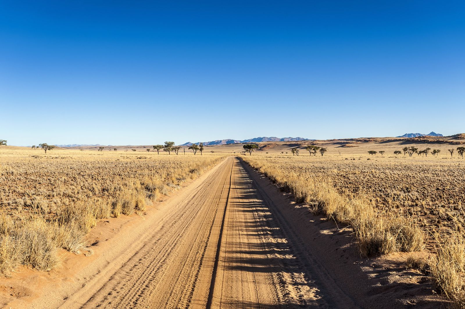 Día 1 · Camino de Sossusvlei