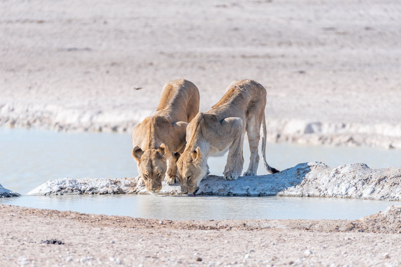 Namibia