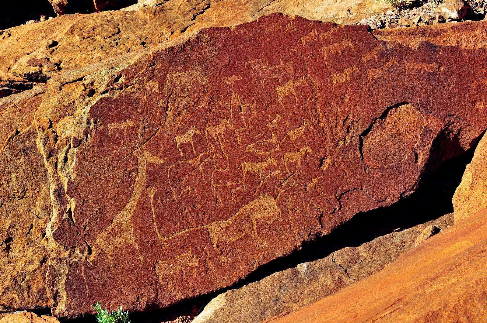 Día 6 · Grabados de Twyfelfontein