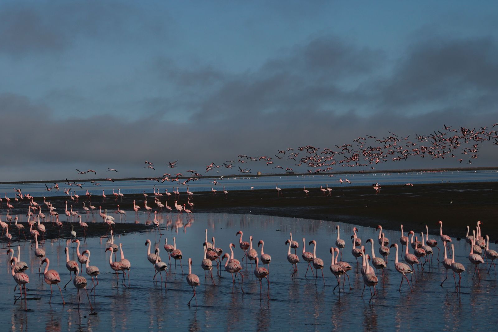 Sossusvlei · Walvis Bay · Swakopmund