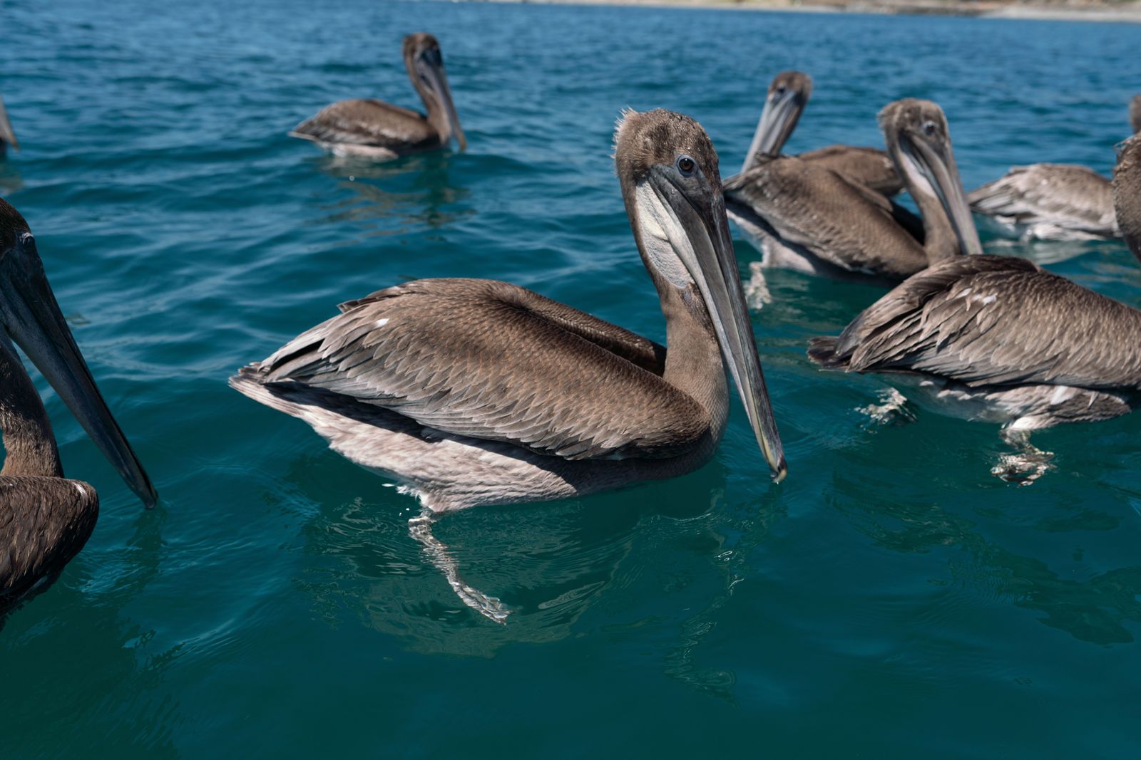 Walvis Bay · Sandwich Harbour