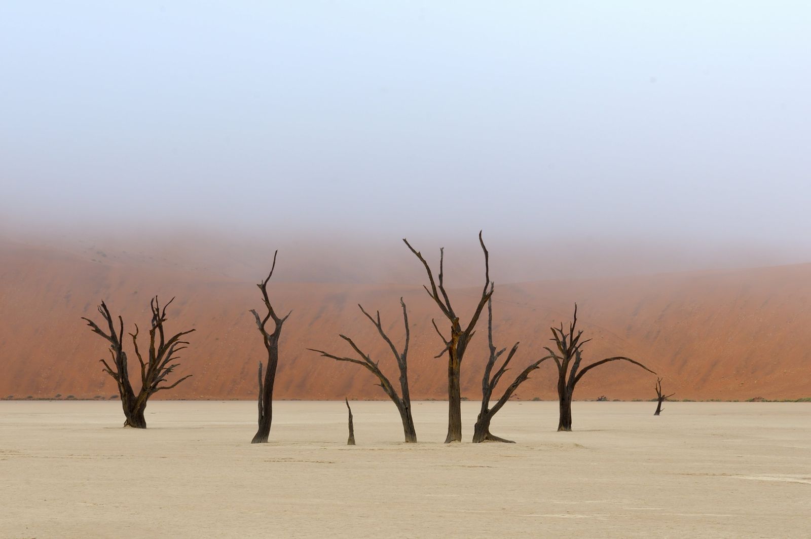 Sossusvlei · desierto del Namib