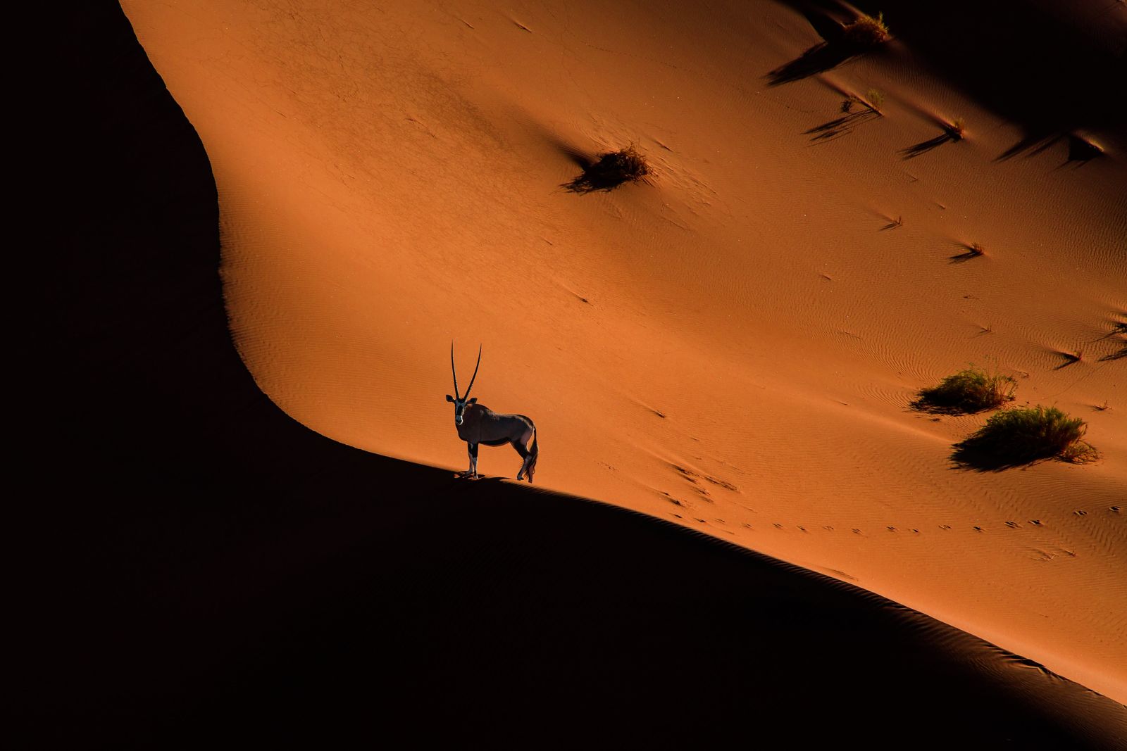Sossusvlei · desierto del Namib