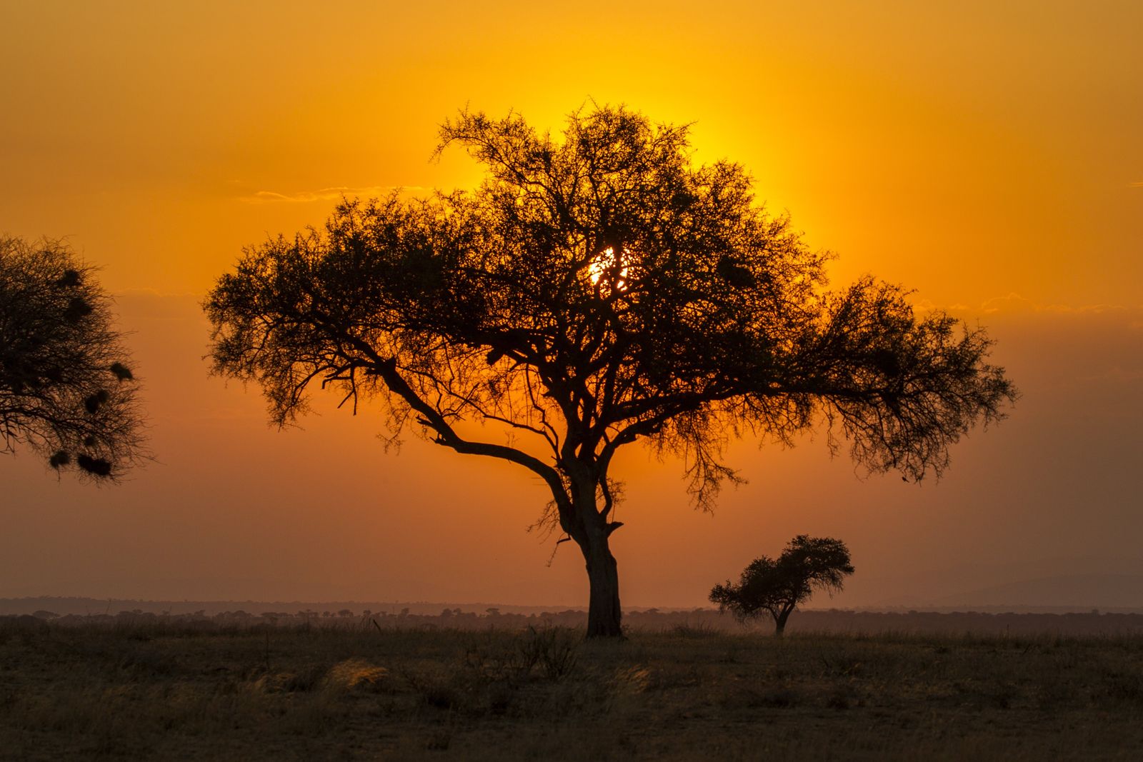 Día 9 · Okonjima al atardecer