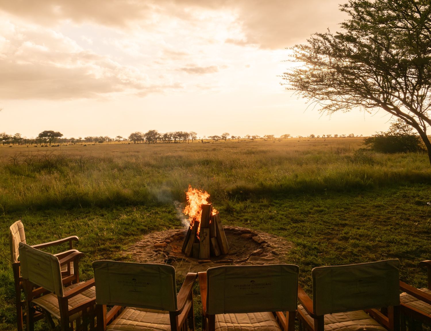 Serengeti → Ngorongoro