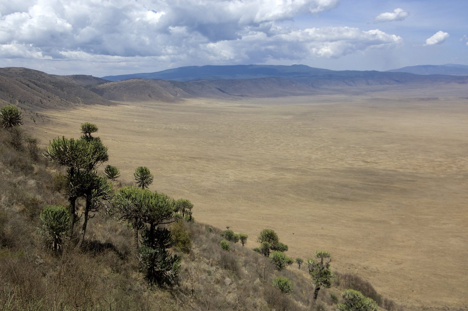 Día 6 · Serengeti → Ngorongoro