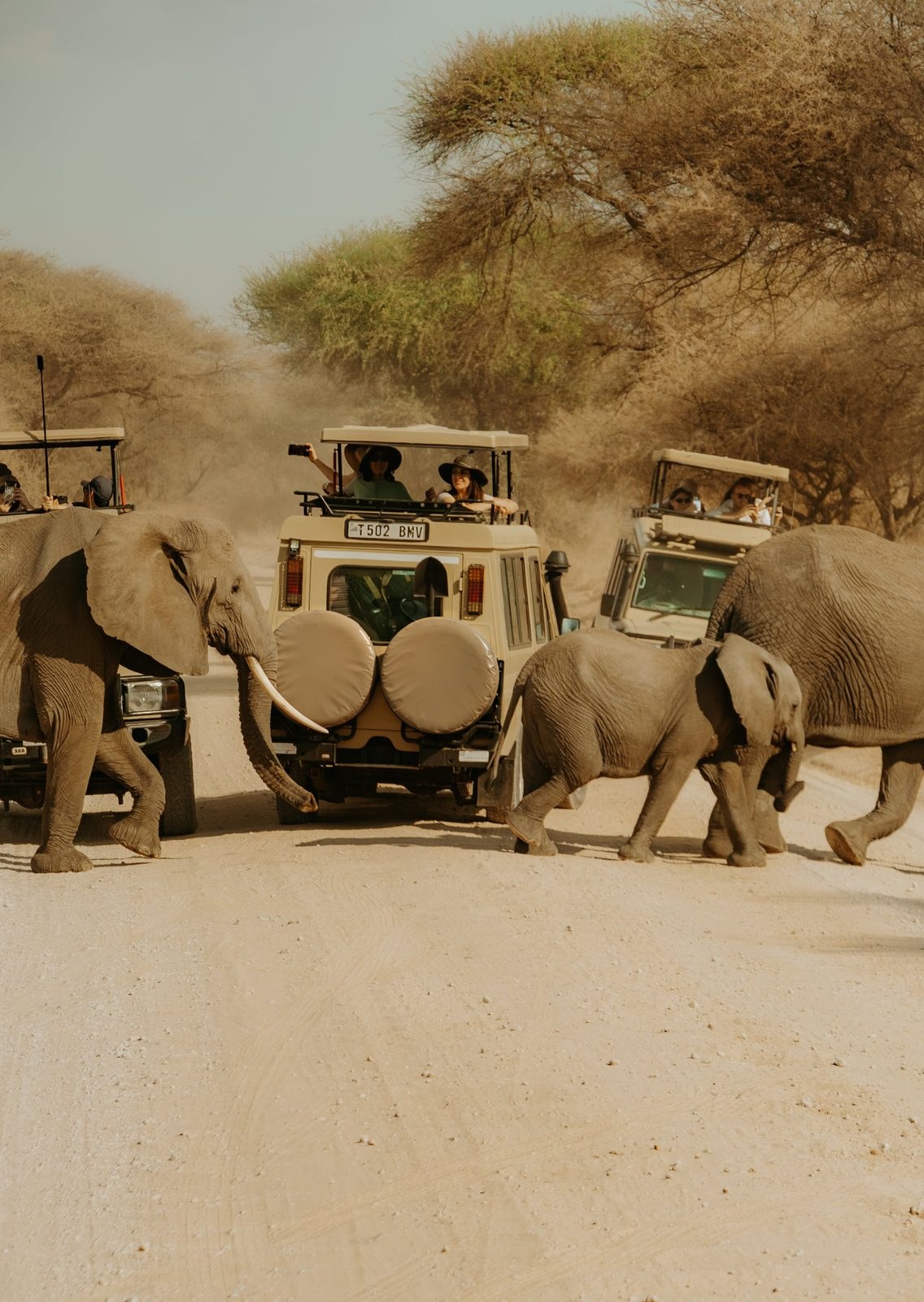 Arusha → Tarangire