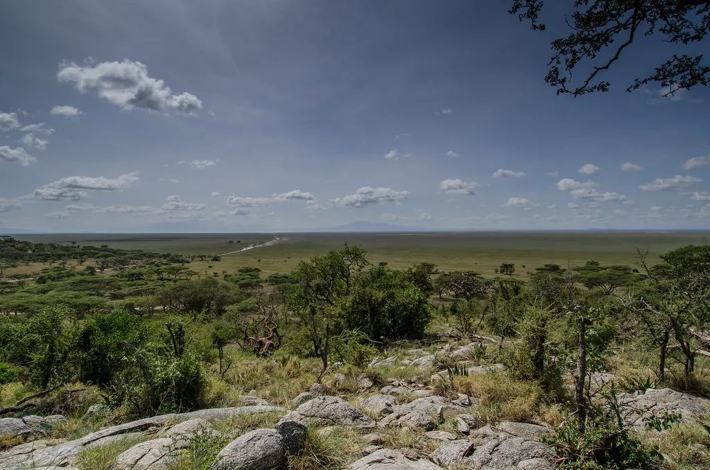 Día 4 · Natron → Serengeti