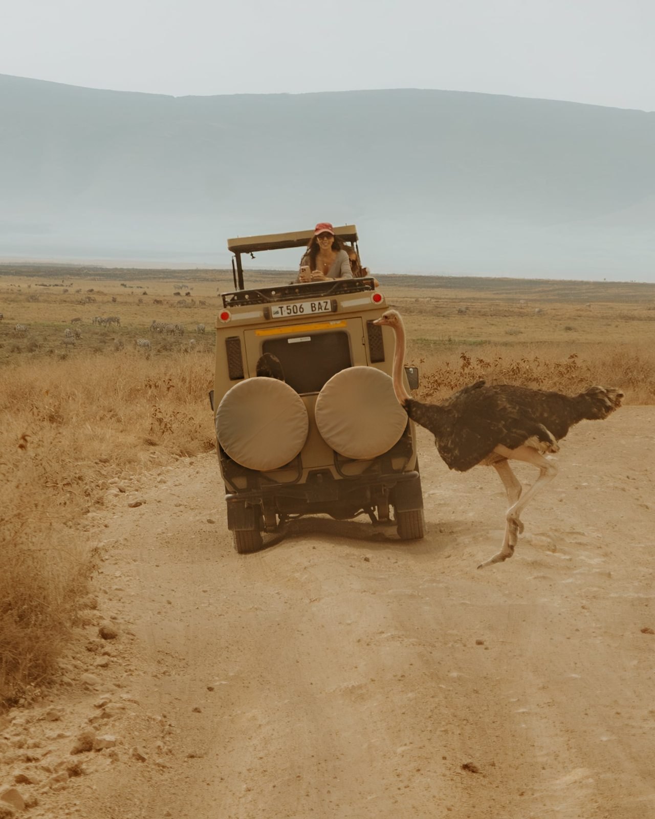 Natron → Serengeti