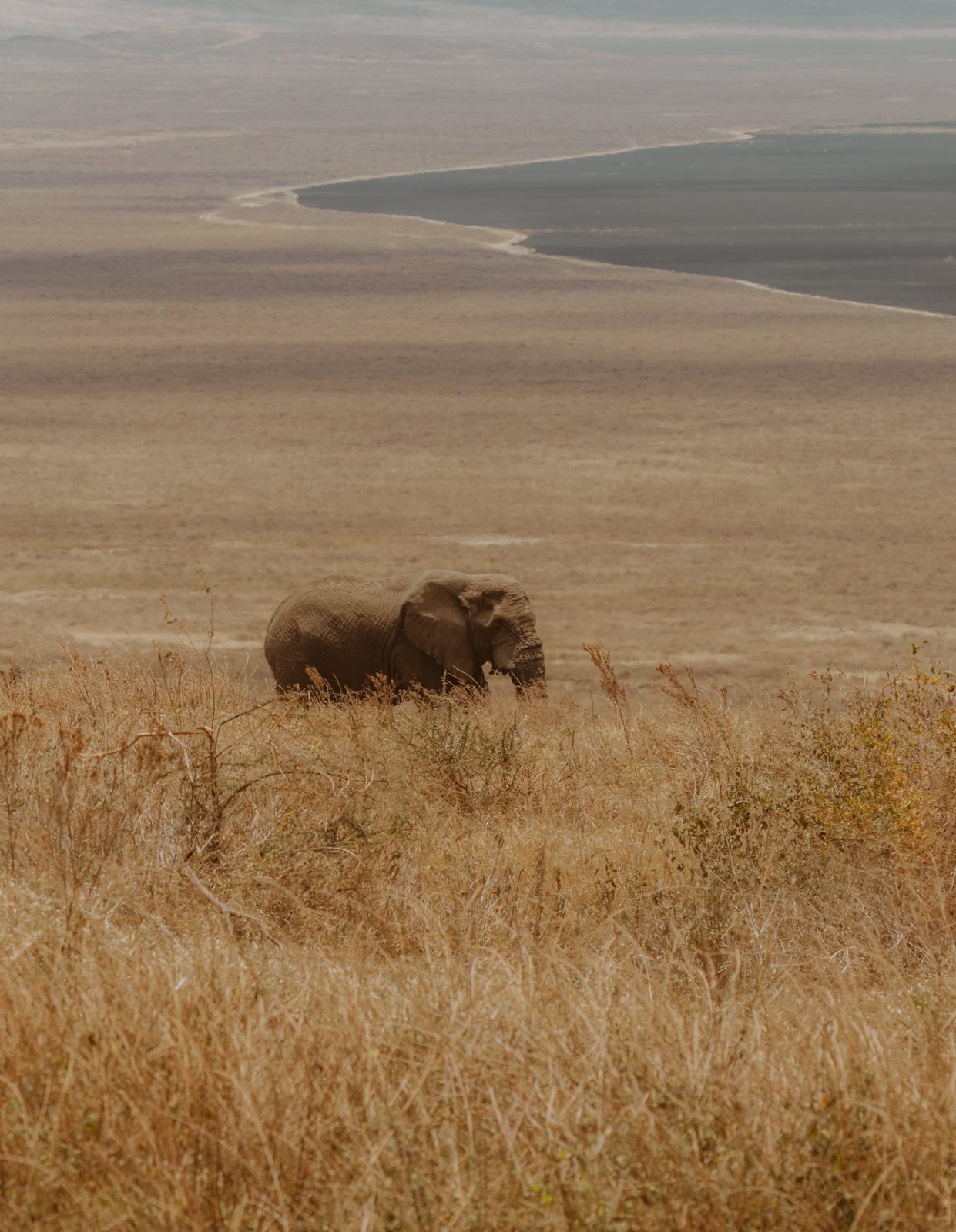 Serengeti → Ngorongoro