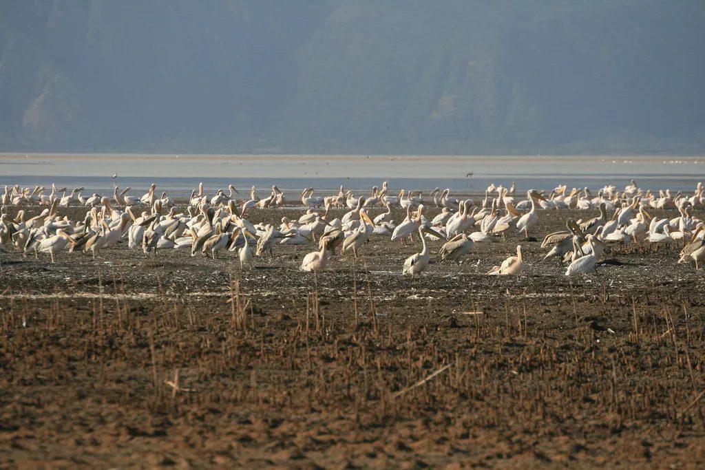 Día 7 · Ngorongoro → Lago Eyasi