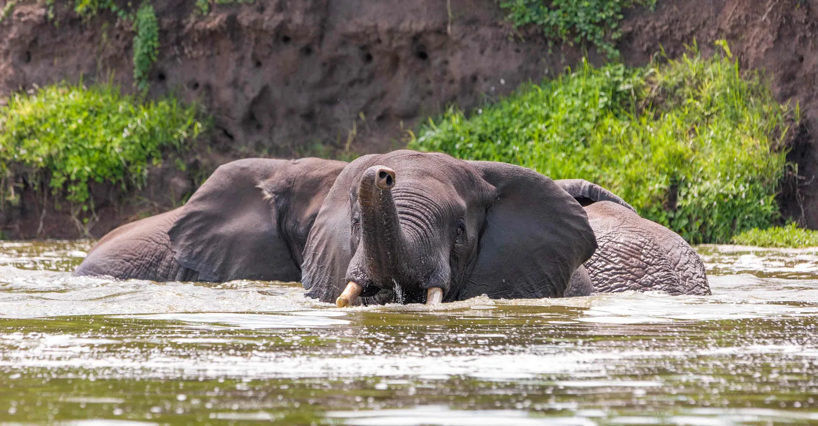 Uganda