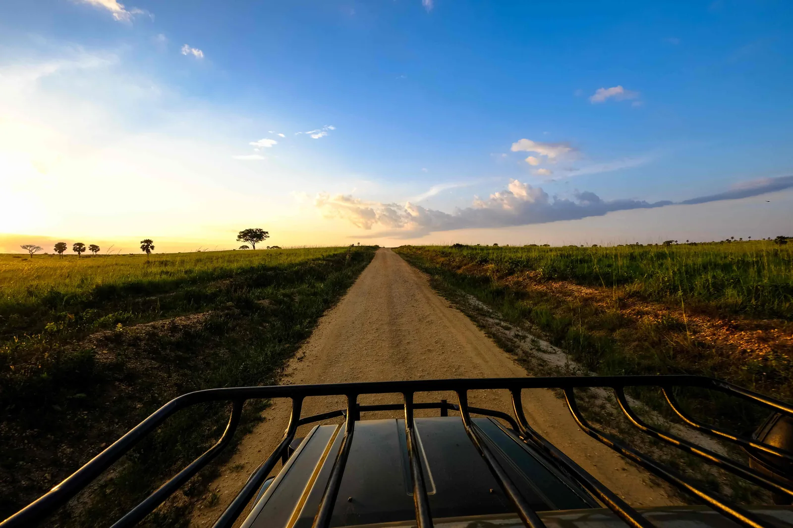 Ziwa → Murchison Falls
