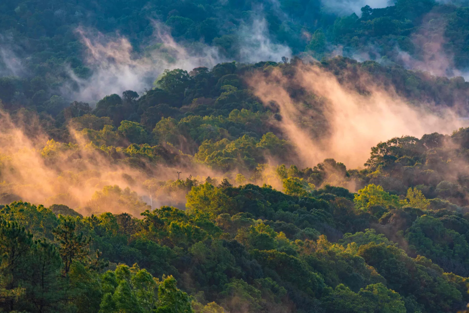 Día 8 · Ruta a Bwindi