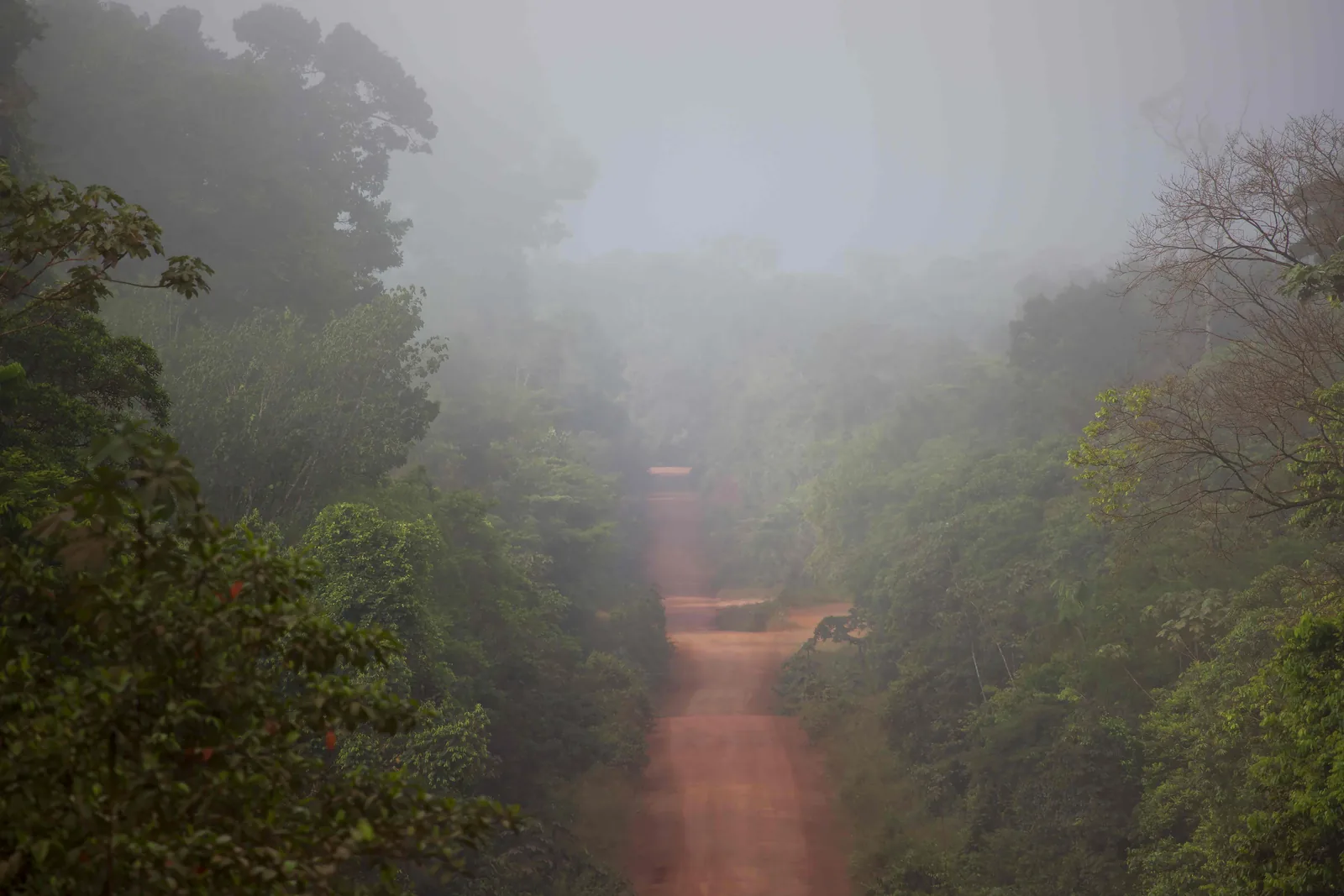 Ruta a Bwindi