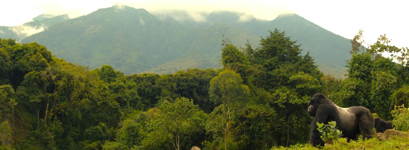 Bwindi → Lake Bunyonyi