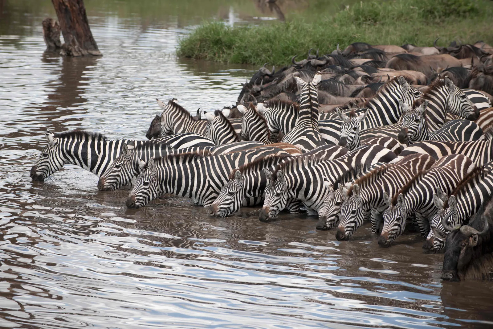 Lake Mburo · Bahima · ecuador → Entebbe